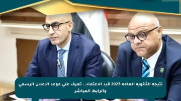 نتيجة الثانوية العامة 2025 قيد الاعتماد.. تعرف على موعد الإعلان الرسمي والرابط المباشر